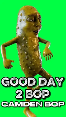 PICKLE CAMDEN BOP