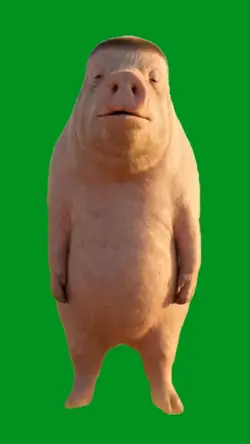 pig jam