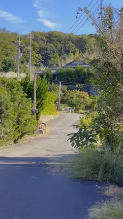秋の裏道