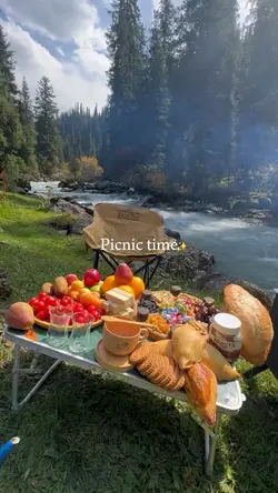 picnic time