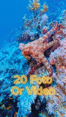 20 Foto Slides