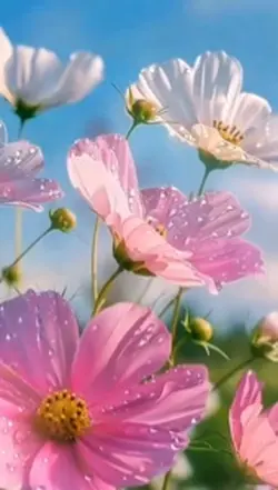 3D wallpaper