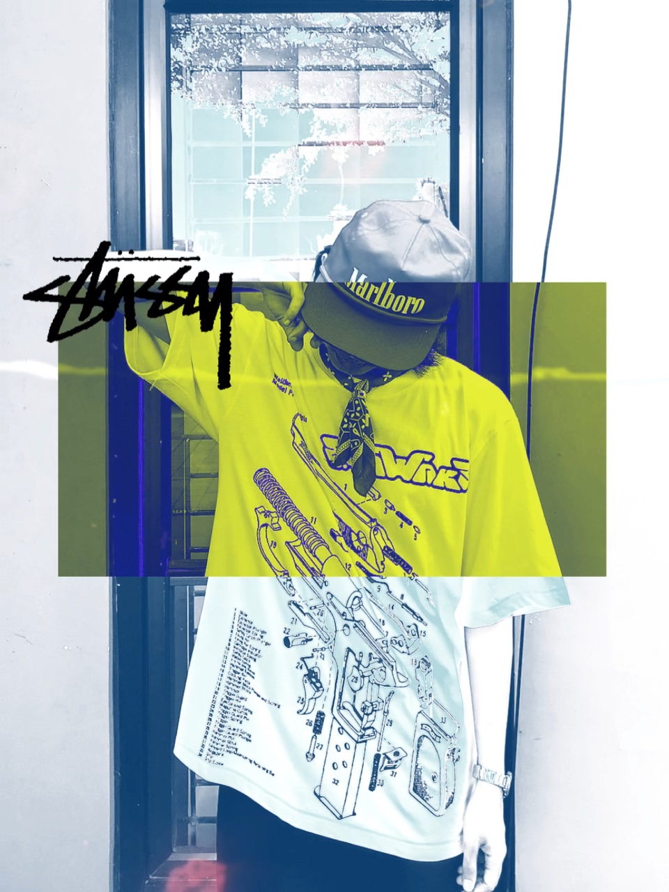 Cover Picture