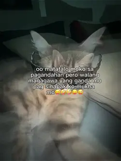 oo matatalo moko sa