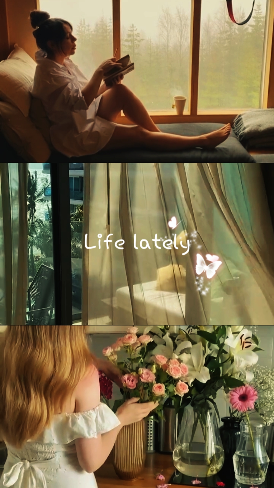 LA VIDA ÚLTIMAMENTE