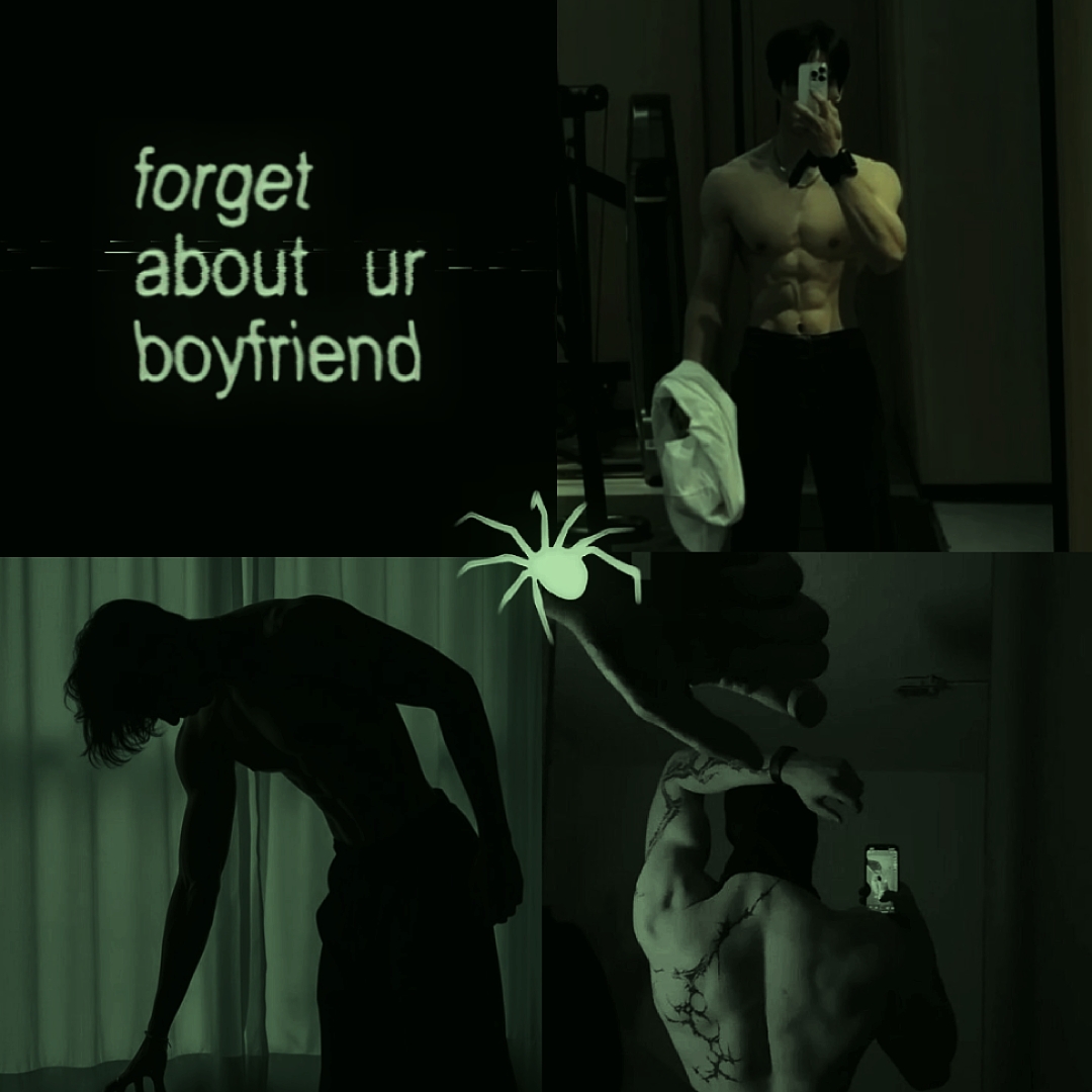 Novio