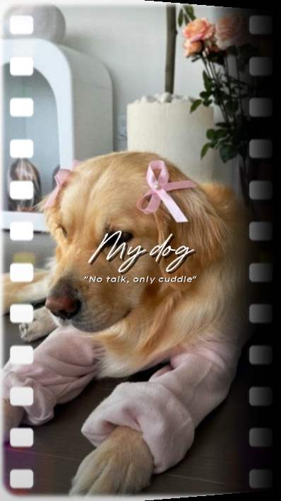 my dog