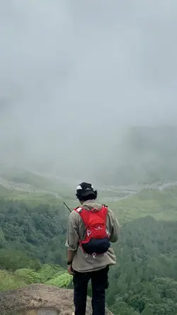 1 video nature