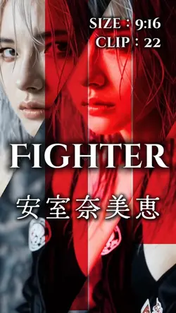 Fighter