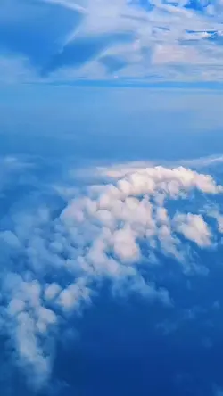 我会慢慢忘记你