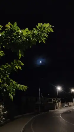 galabungamatahari🌻