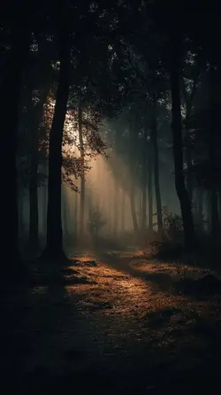 calm vibes