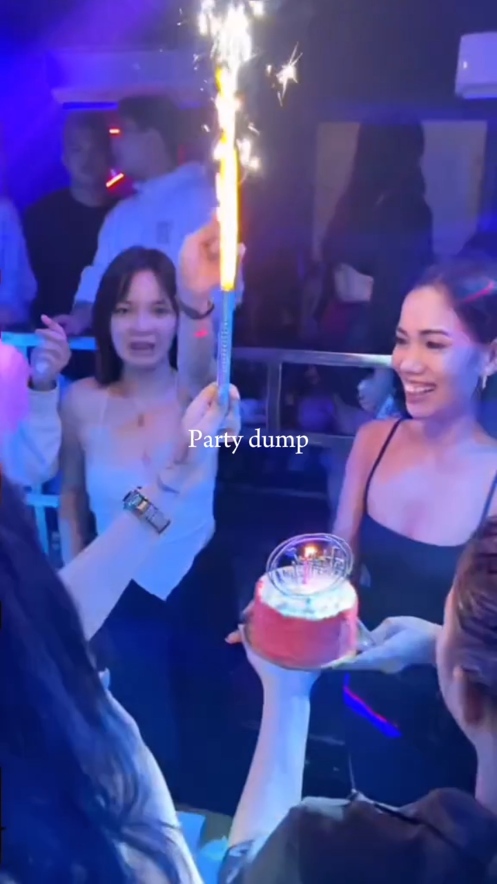 Party-Dump
