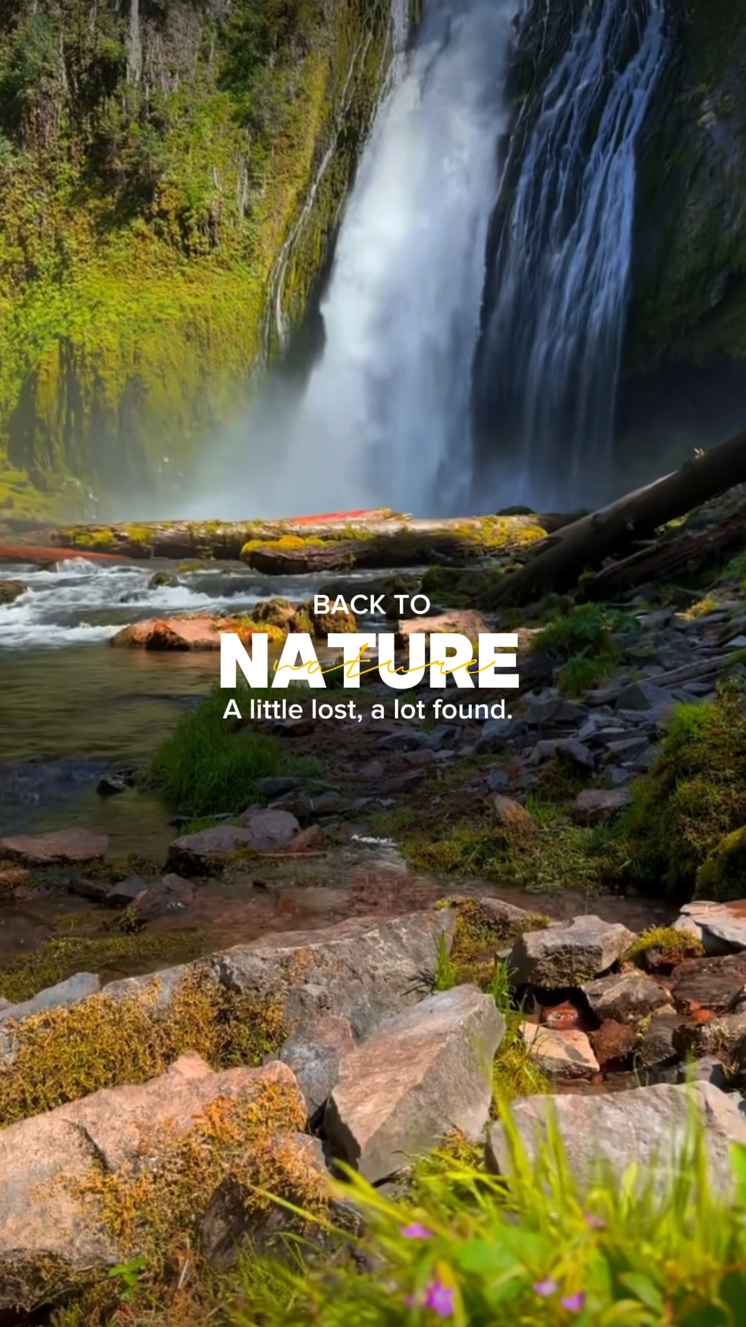 De volta à natureza 🍃