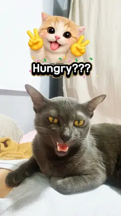 Hungry??