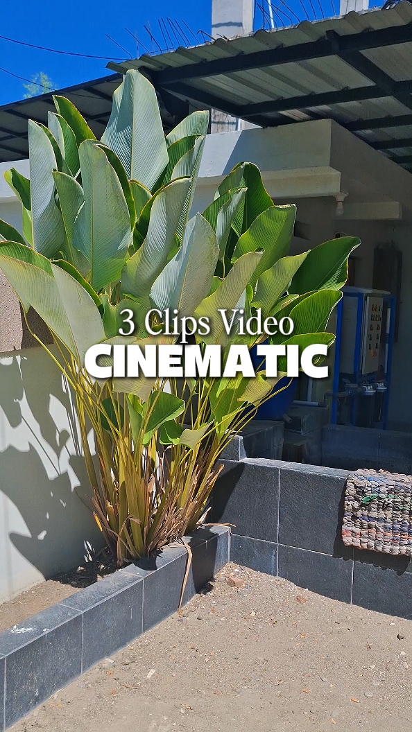Esthétique cinématographique