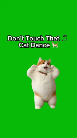 Don’t Touch That 🕺