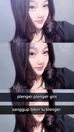 Plenger plenger gini