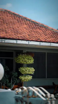 8 Clips Cinematic