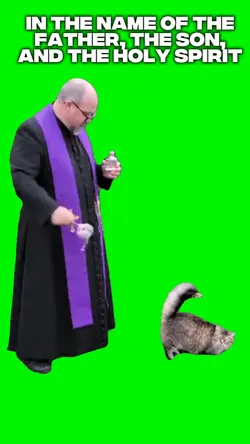 Holy Water Cat 