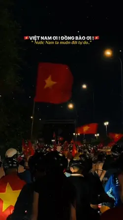 Việt Nam Ơi...