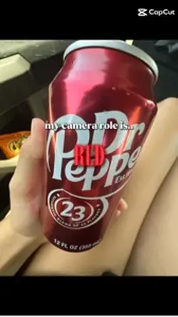 -MY CAMERA ROLE IS:)