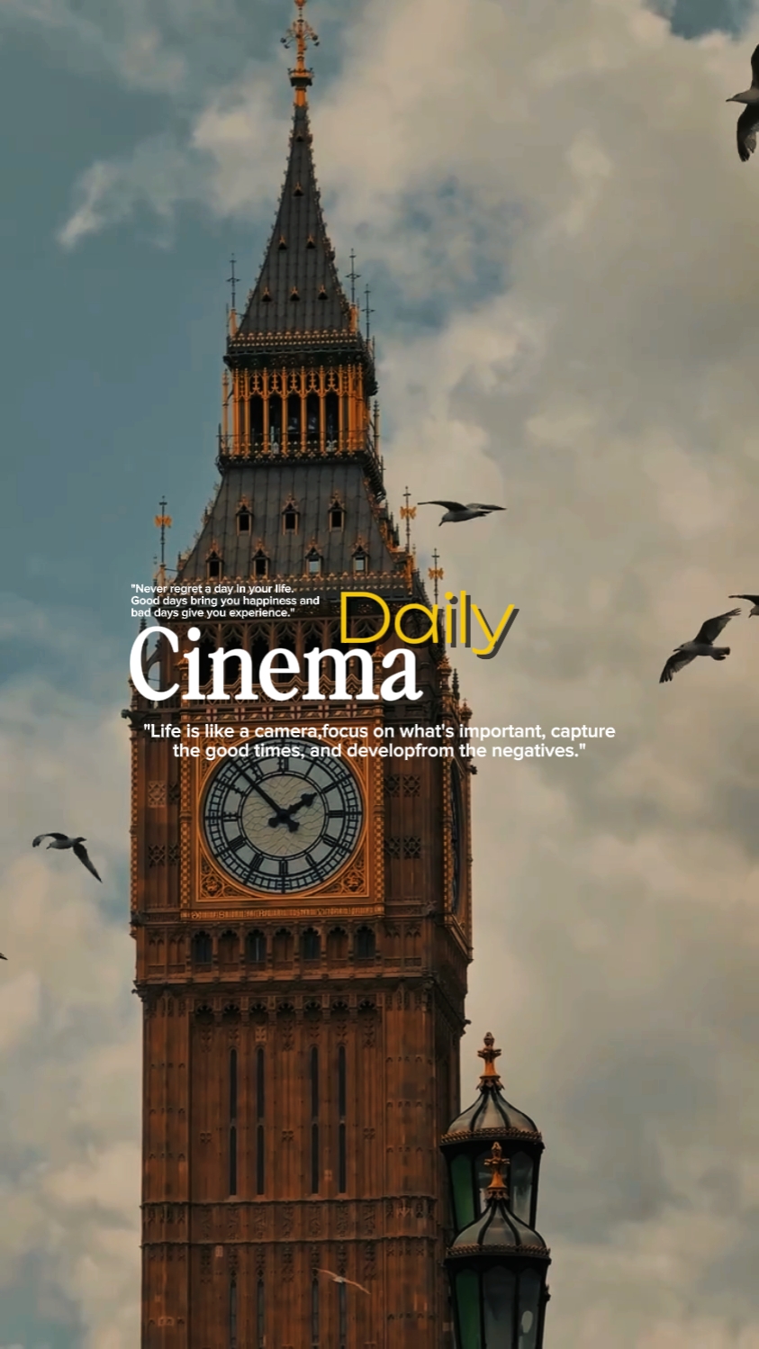 daily cinema