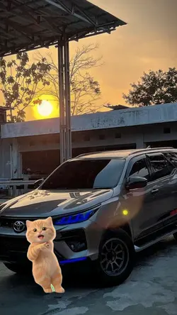 TREND KUCING JOGET