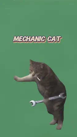 Mechanics cat