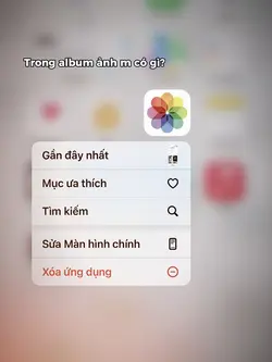 Album ảnh m có gì?