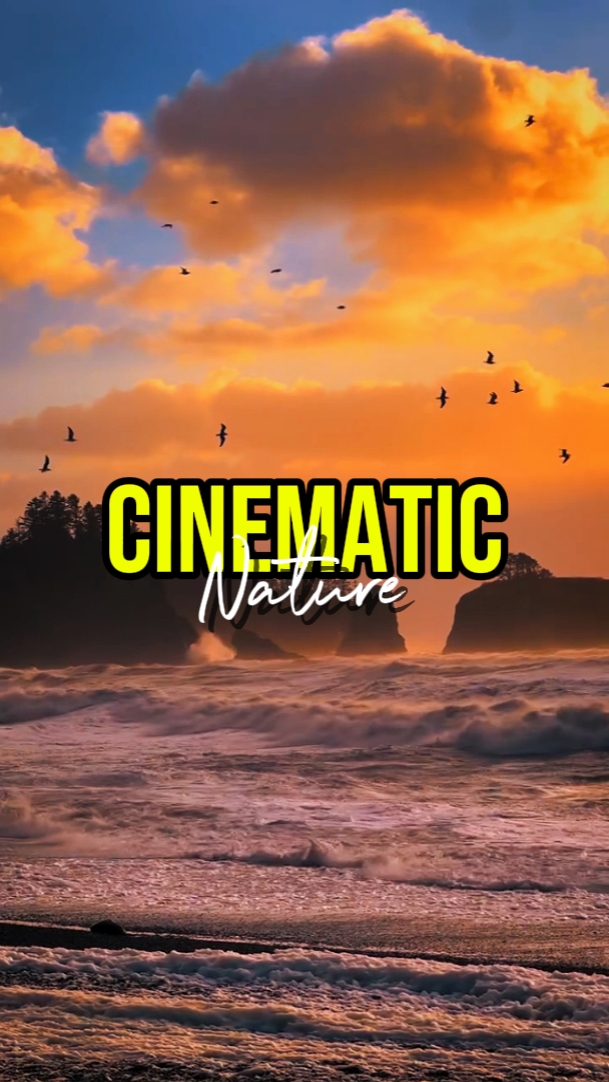 CINEMATIC NATURE