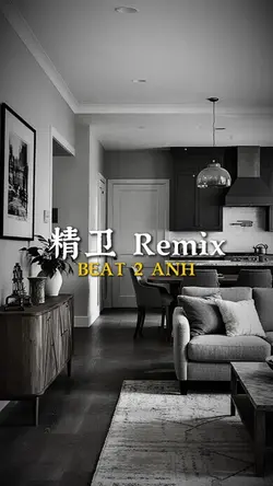 精卫 REMIX