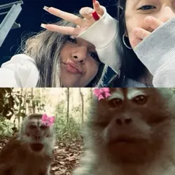 Amigas