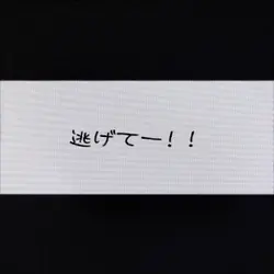 逃げてー!!