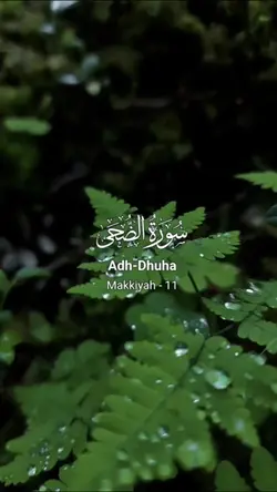 Surah Adh Dhuha