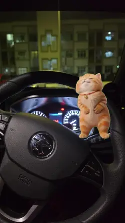 Cat Dance