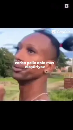 Pelin apla eleştiri