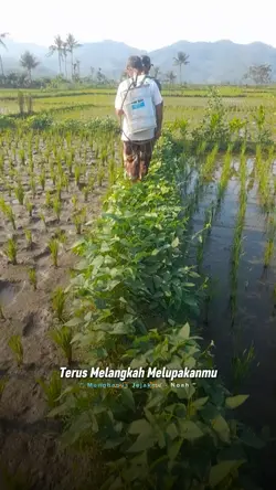 Menghapus Jejakmu