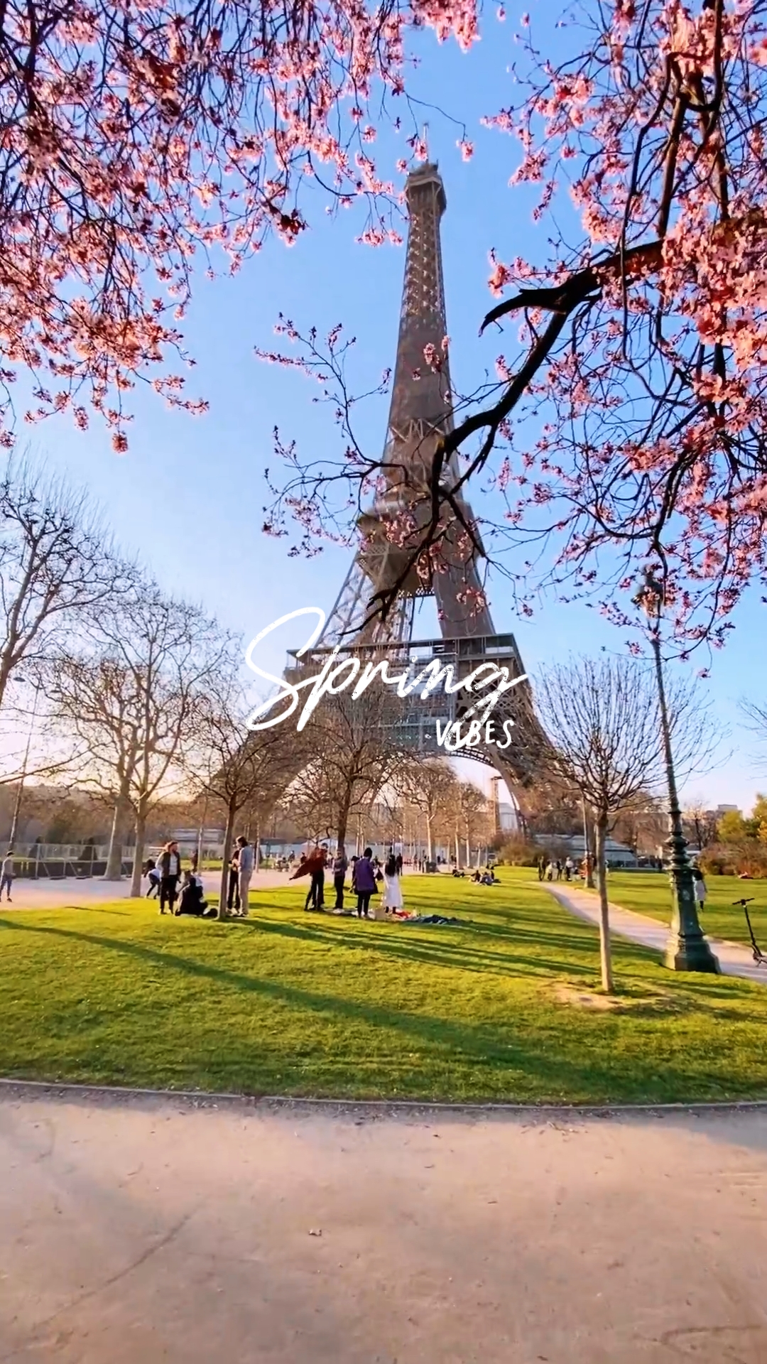 Spring Vibes