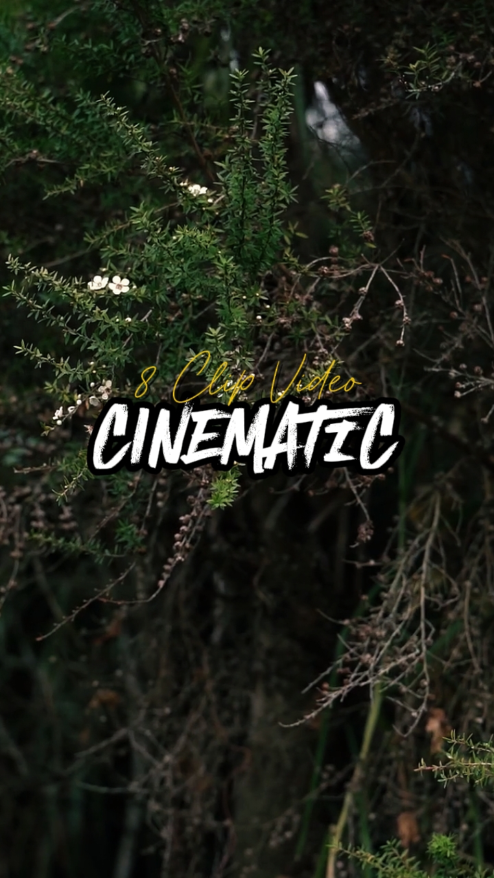 8 clip video 
