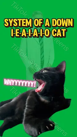 SYSTEM OF A DOWN CAT