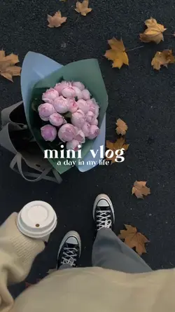mini vlog