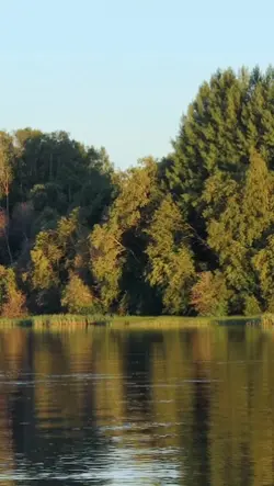 Natureza