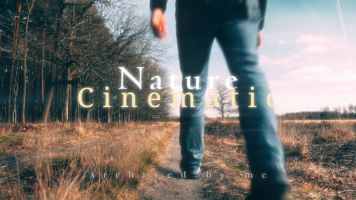Naturaleza cinematográfica 