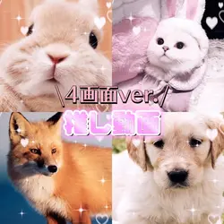 Magic of Love 4画面ver