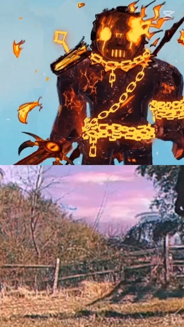 Cover Picture