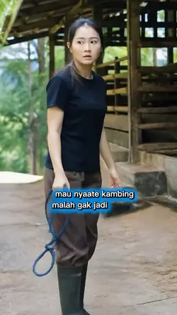 kambing berlatih 
