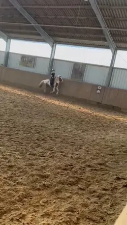 Plug-remix slowmo🌟