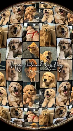 National Dog Day