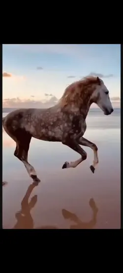 Freizeit